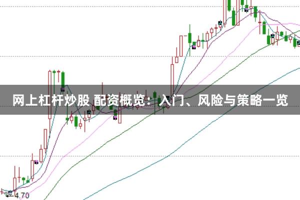 网上杠杆炒股 配资概览:入门、风险与策略一览