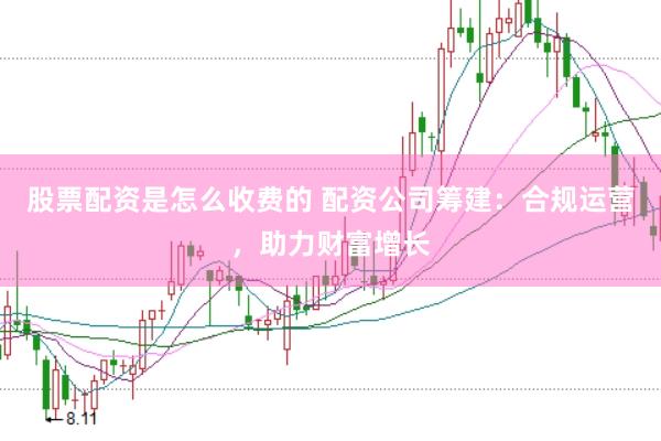 股票配资是怎么收费的 配资公司筹建：合规运营，助力财富增长