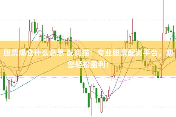 股票爆仓什么意思 配资猫：专业股票配资平台，助您轻松盈利！
