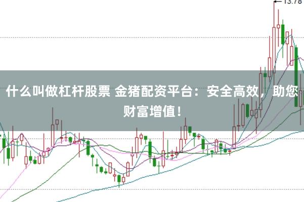 什么叫做杠杆股票 金猪配资平台：安全高效，助您财富增值！