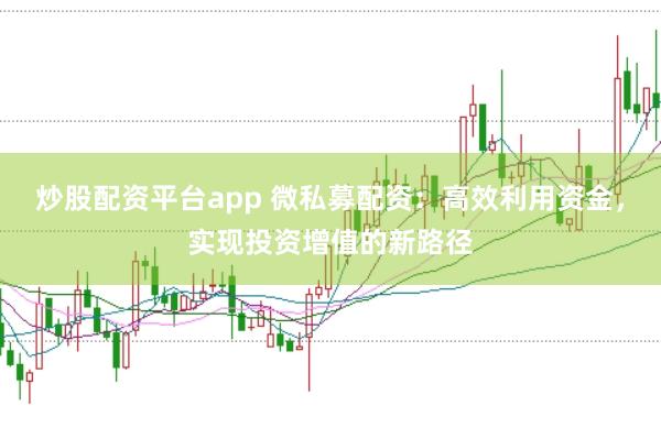 炒股配资平台app 微私募配资：高效利用资金，实现投资增值的新路径