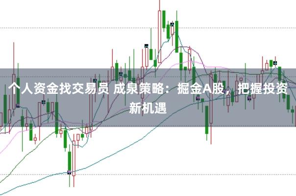 个人资金找交易员 成泉策略:掘金A股,把握投资新机遇