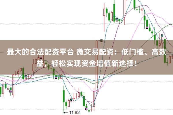 最大的合法配资平台 微交易配资：低门槛、高效益，轻松实现资金增值新选择！
