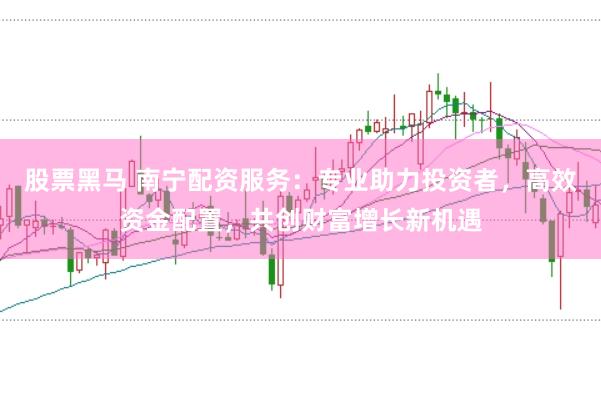 股票黑马 南宁配资服务：专业助力投资者，高效资金配置，共创财富增长新机遇